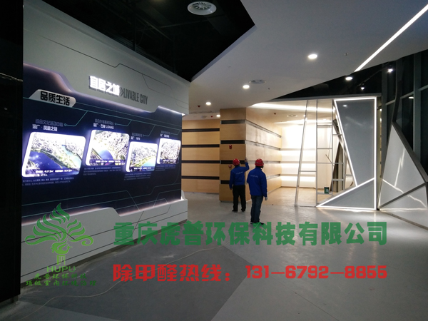 重庆除甲醛公司